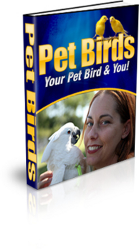 Product picture Pet Birds with (MRR)